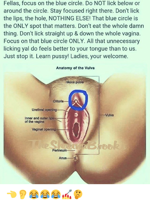 Sexual anatomy of vulva Naked FuckBook 2018