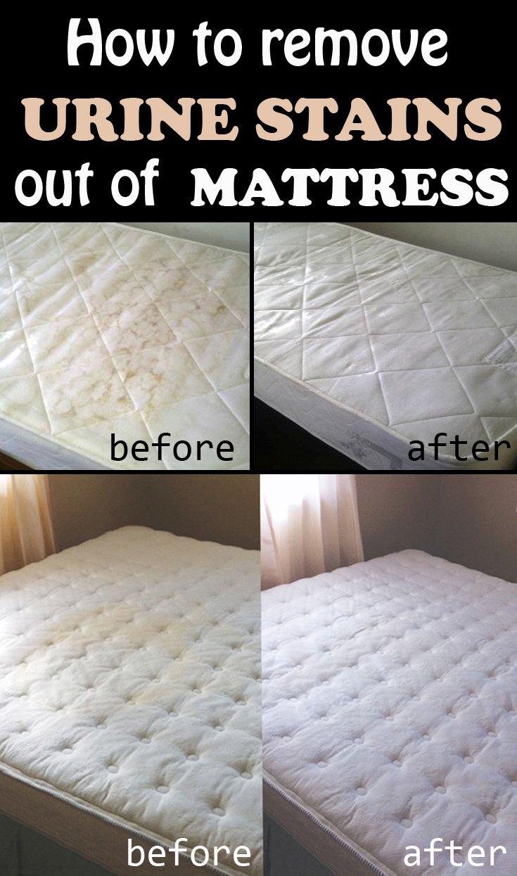 best of Bed mattress trip camping Pee piss