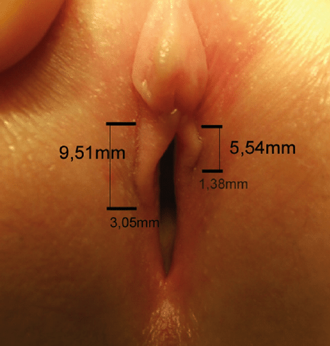 best of Clitoris vagina Distance