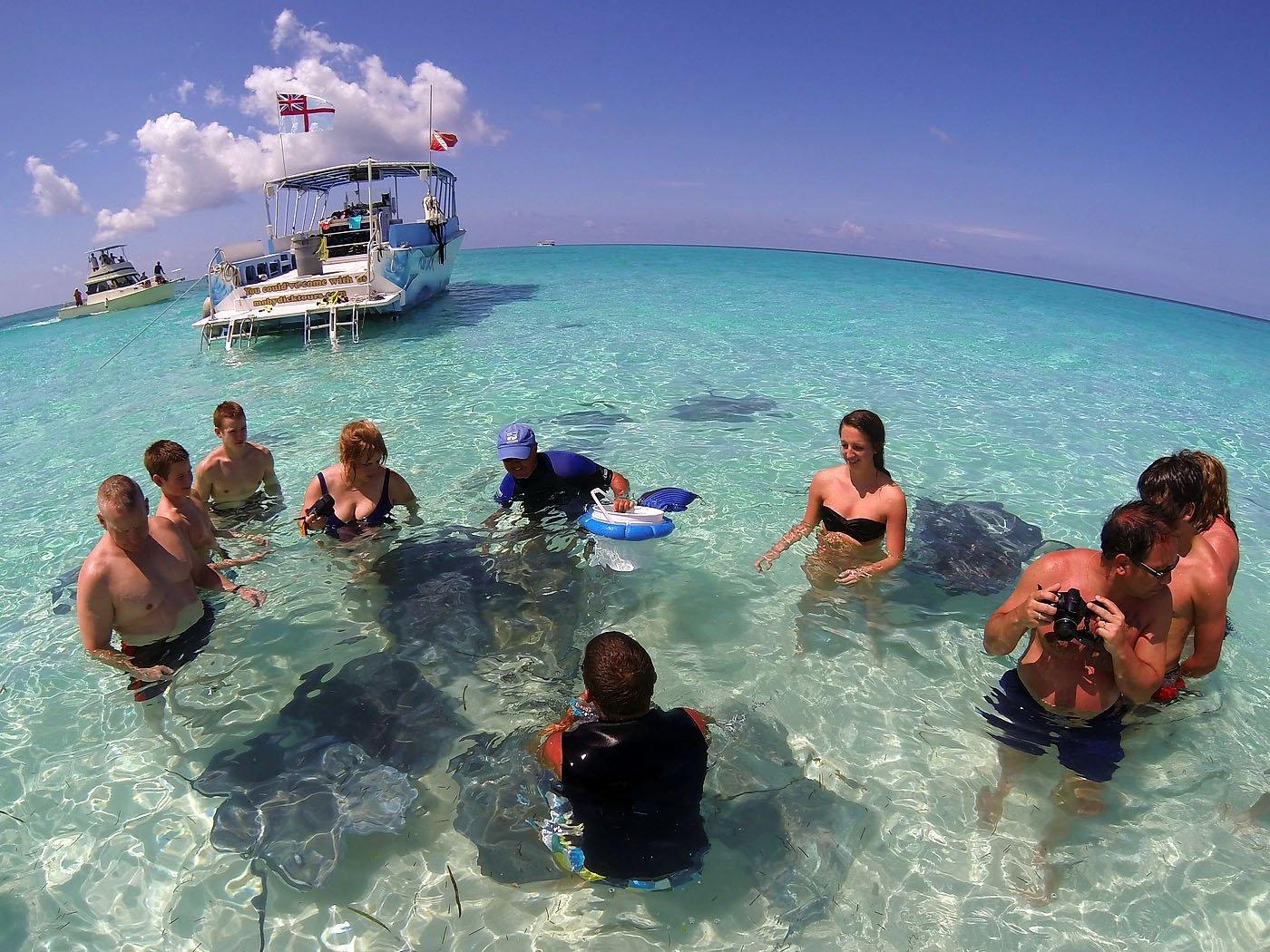 Moby dick tours cayman