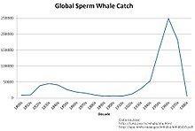 Chopper reccomend Sperm whale classification
