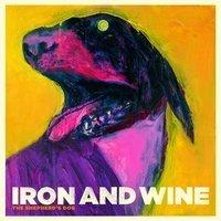 Iron and wine flightless bird american mouth album