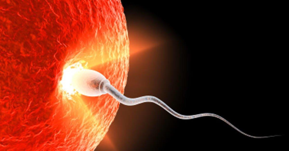 Male sperm pics