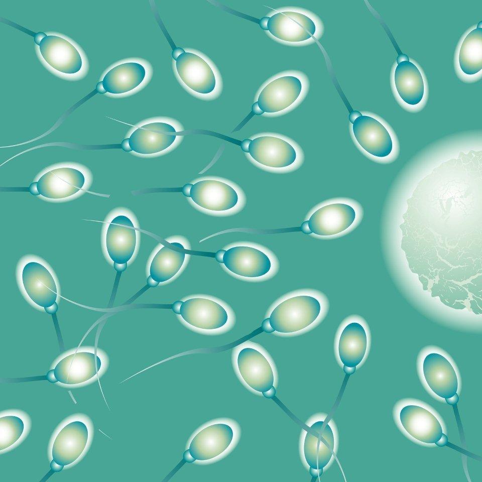 Bank oklahoma sperm