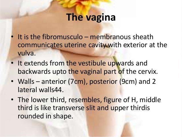 best of Nurse Vulva pleasure