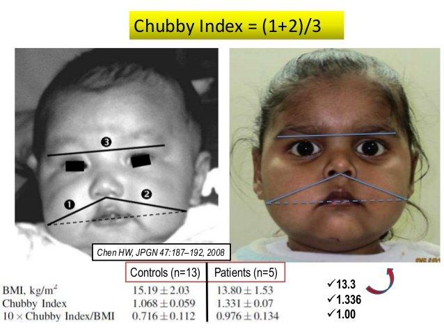 best of Image index Chubby