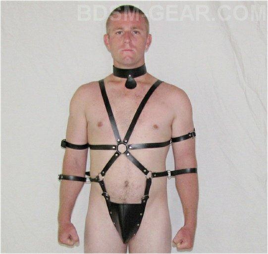 Sabre-Tooth reccomend Male bondage harnesses