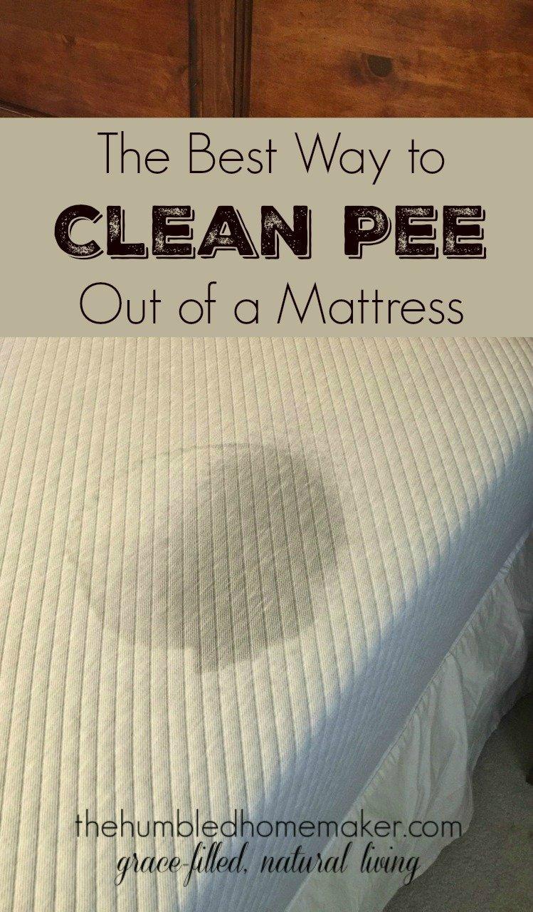 Pee piss bed mattress camping trip