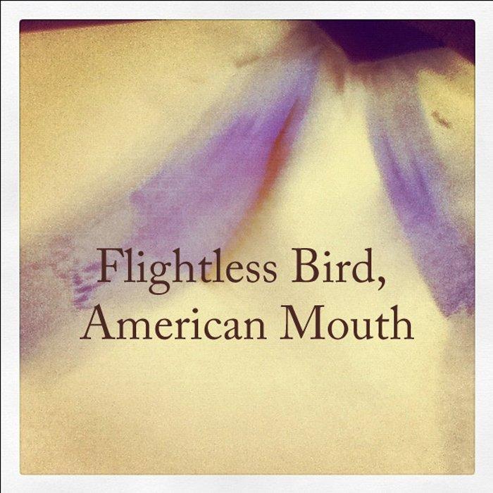 Iron and wine flightless bird american mouth album