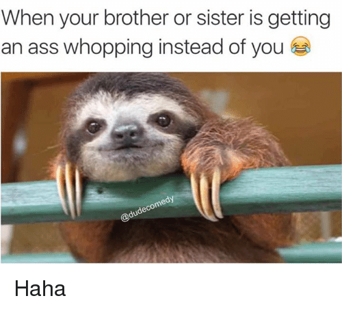 best of Asshole sister Brothers