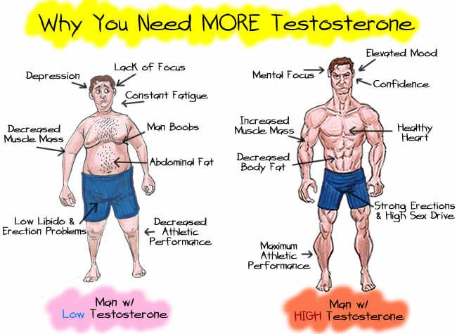 Can masturbation lower testosterone