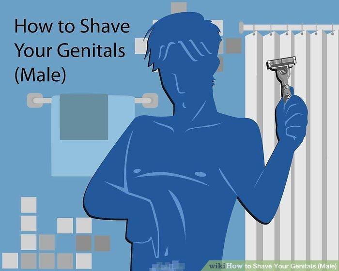 Should guys shave their penis