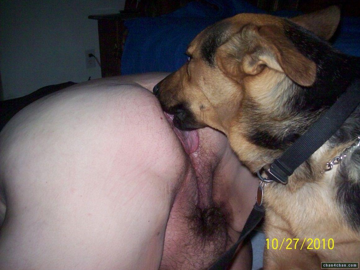 Comments: 4. Dog Lick Dick Cum - German shephard lick pussy - Adult Images....