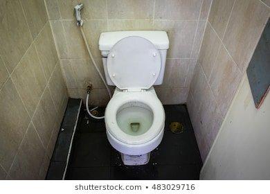 Lapis L. reccomend Flushing sperm down the toilet
