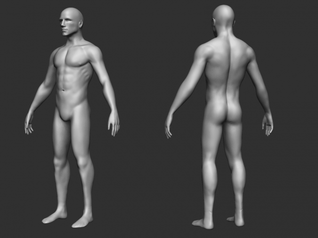 3d model naked man