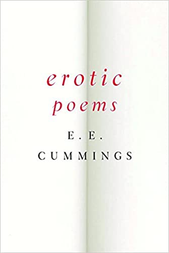 TD reccomend Erotic computer poem