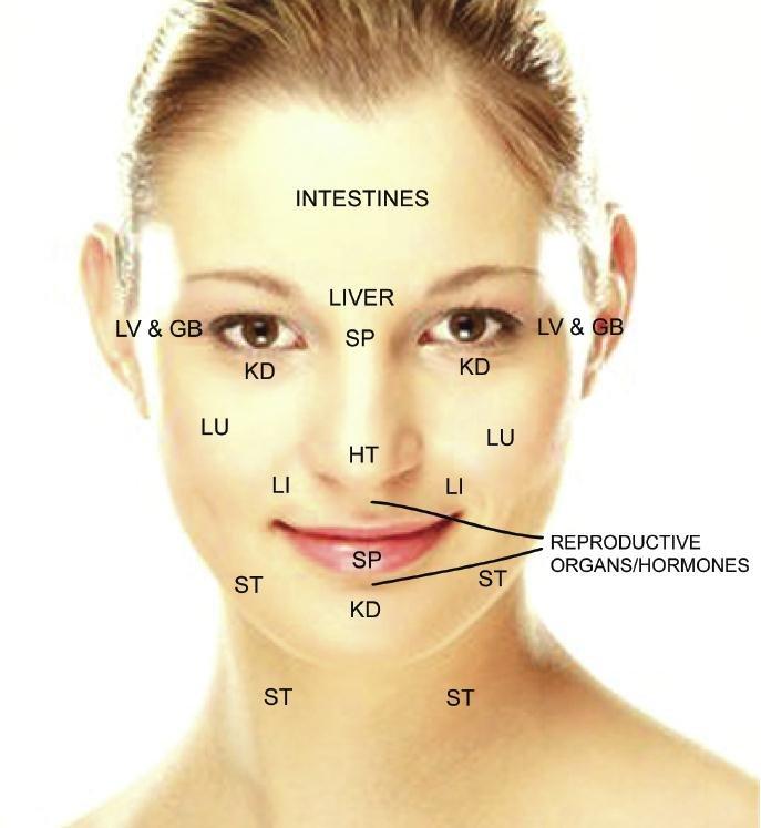 Acupuncture facial meridians