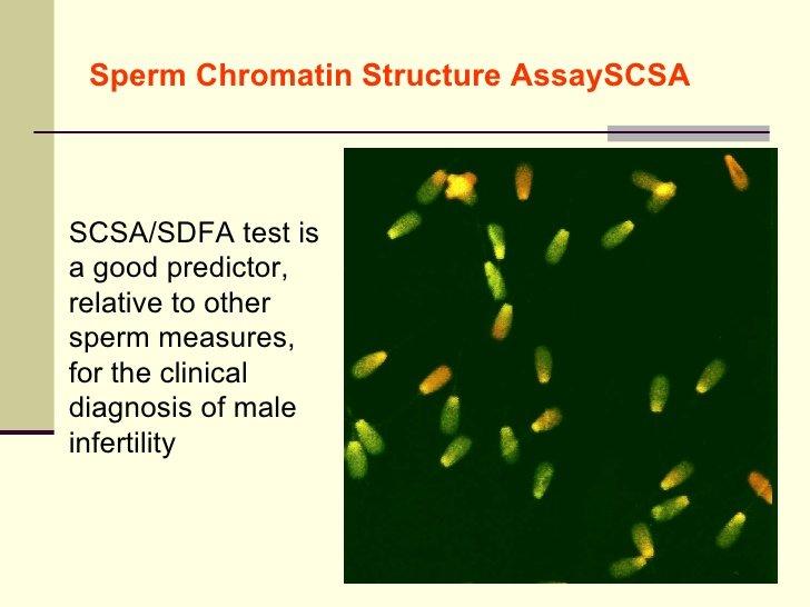 Assay chromatin fertility sperm sperm structure test