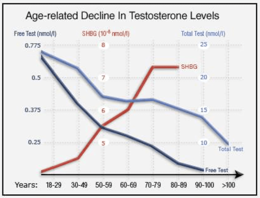 Testosterone estrogen men sperm