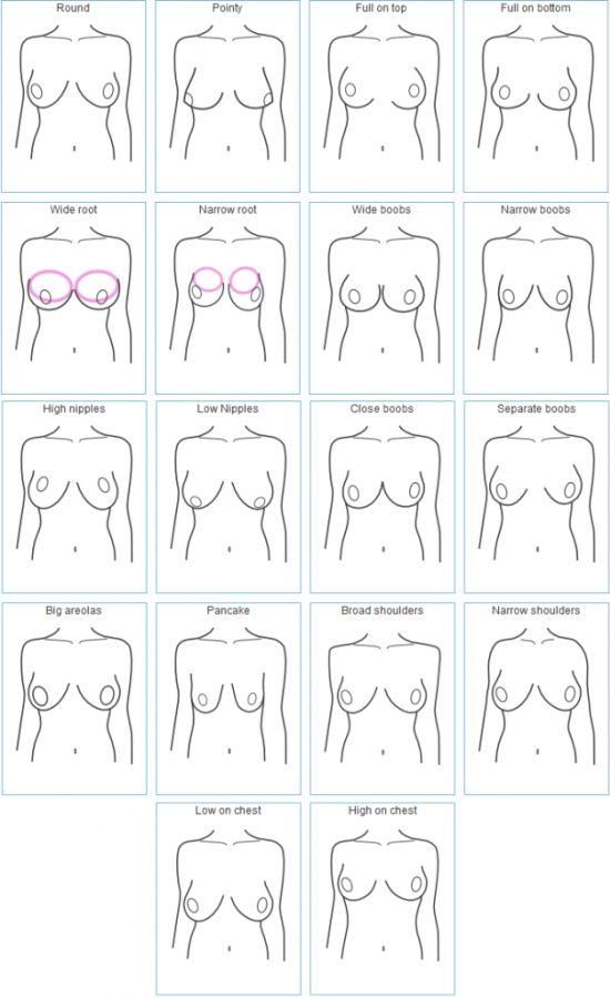 Boob sizes nipple types