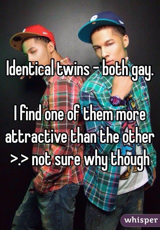 Big L. reccomend Both twins gay