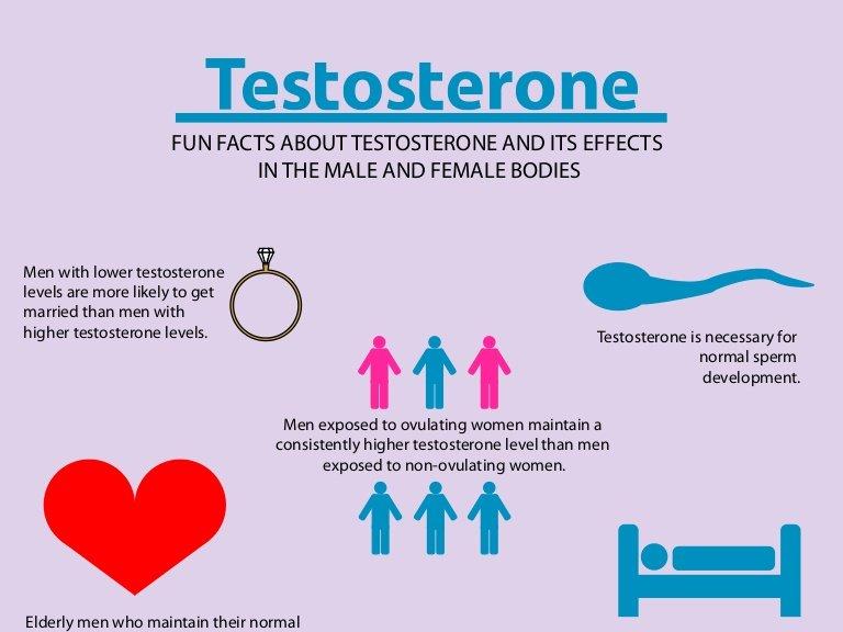 best of Masturbation testosterone Can lower