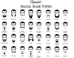 Asian face types