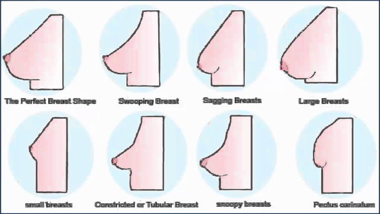 Cupcake reccomend Different shaped boob pics