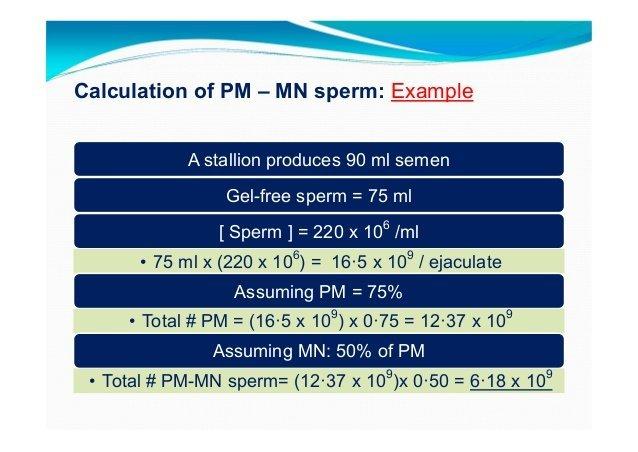 best of Dose calculations sperm breeding Equine