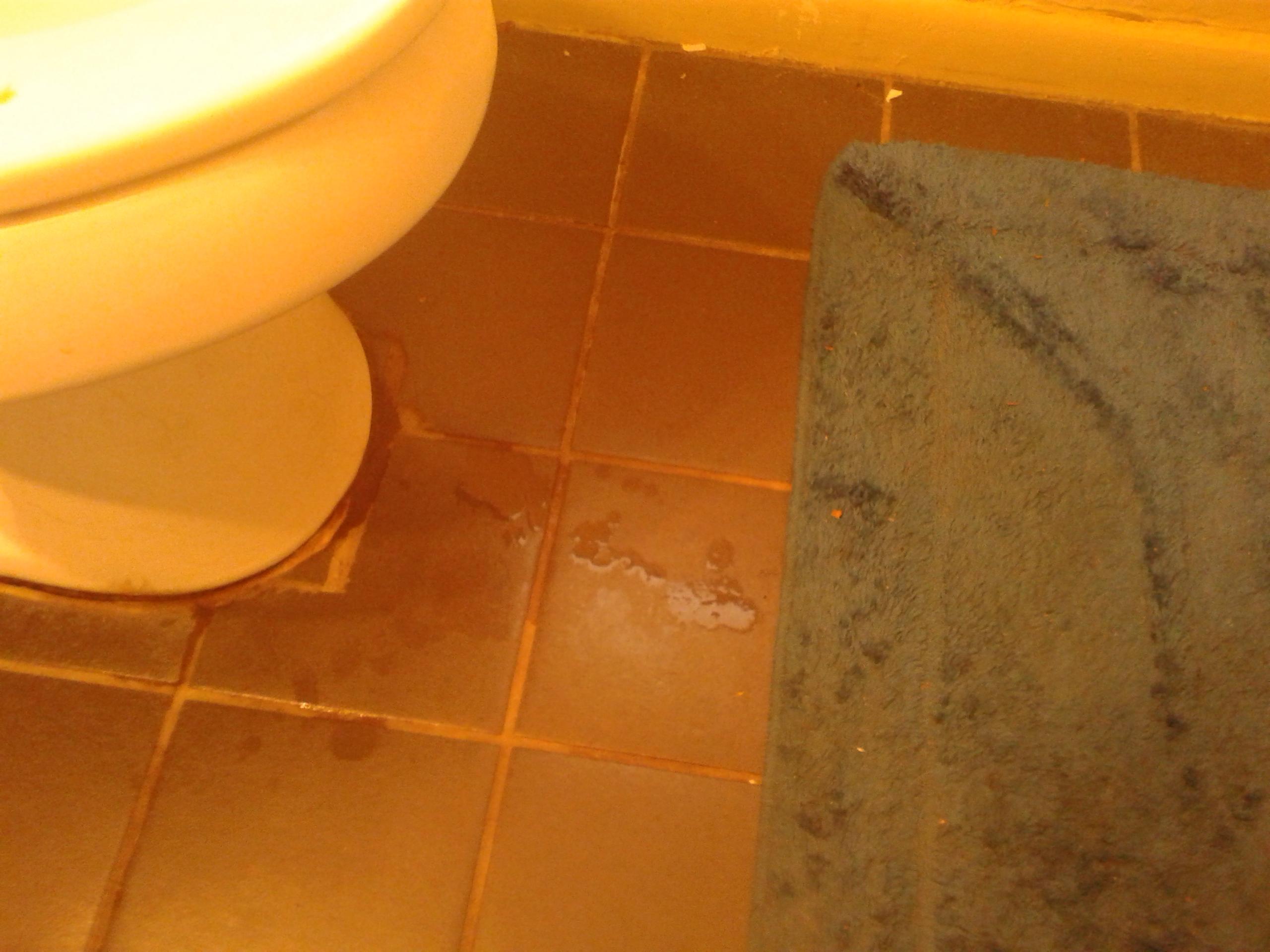 Retrograde reccomend Flushing sperm down the toilet