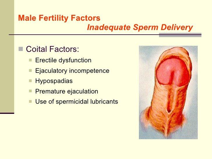 GM reccomend Hypospadias affecting sperm delivery