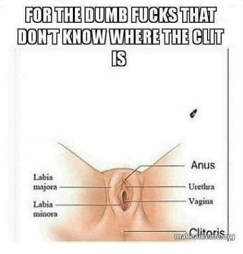 Lack of anus