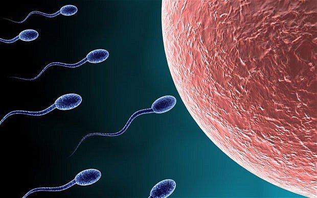Male sperm pics