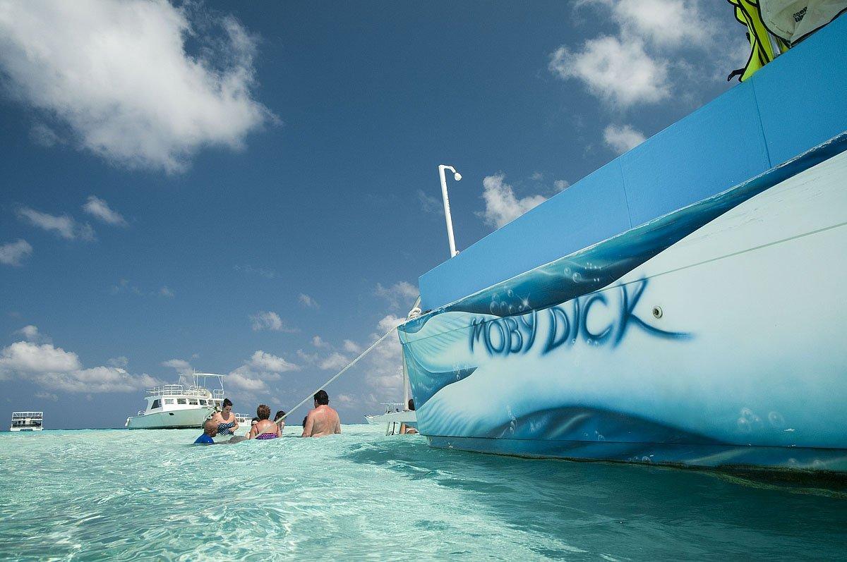 Moby dick tours cayman  image