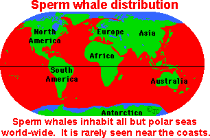best of Whale sperm Pictures environment of