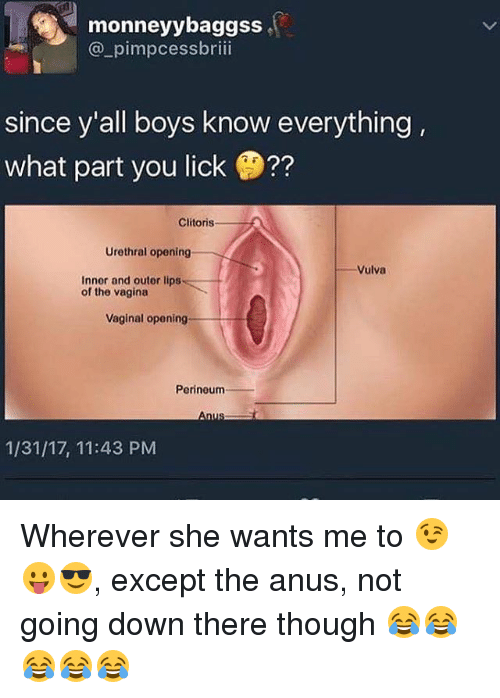 Free gaping anus