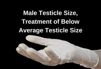 Testicle size sperm Pics Gallery 2018