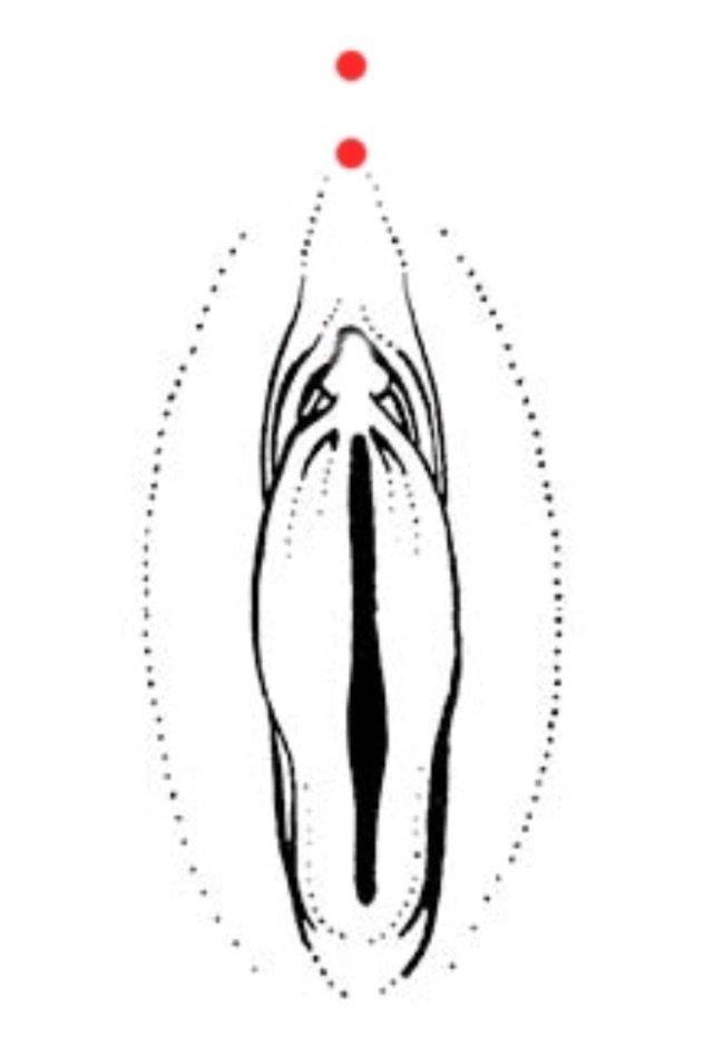 Olympus reccomend Vertical clit hood piercings