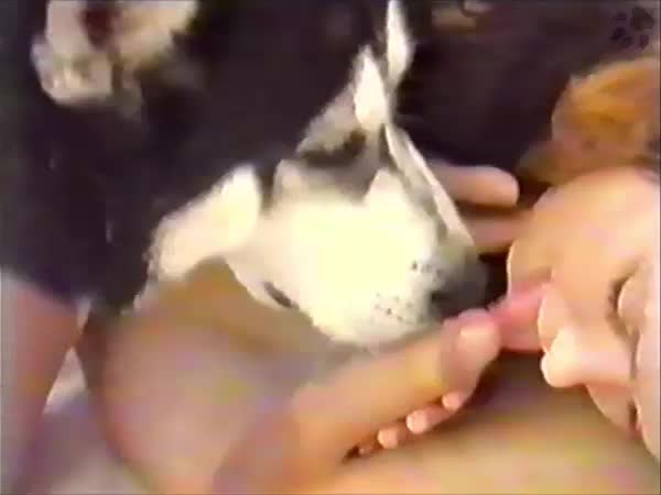 Wife fuck husband and family pet